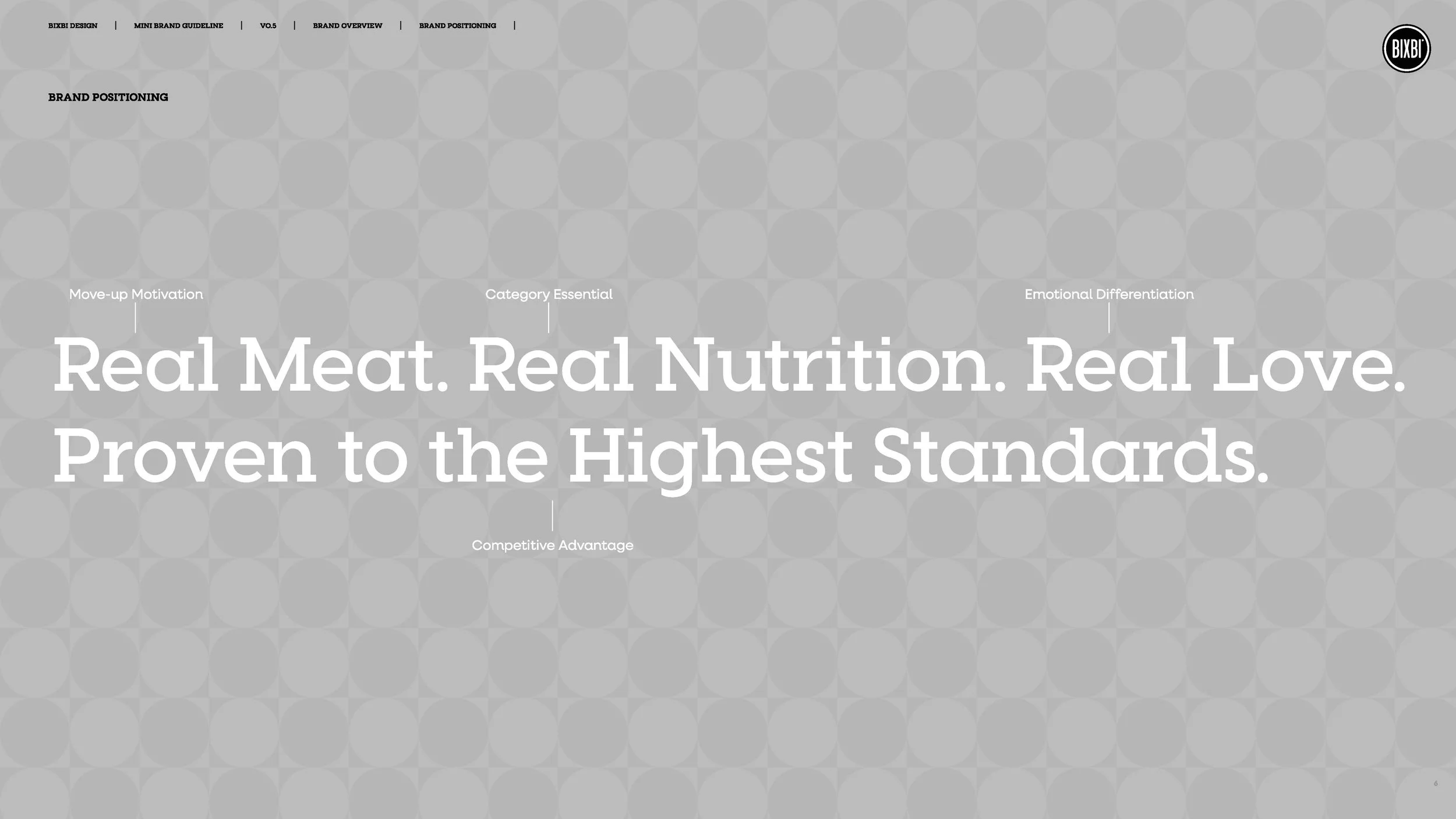 bixbi-brand-guidelines-and-website-style-guide-v0-5_Page_06.jpg
