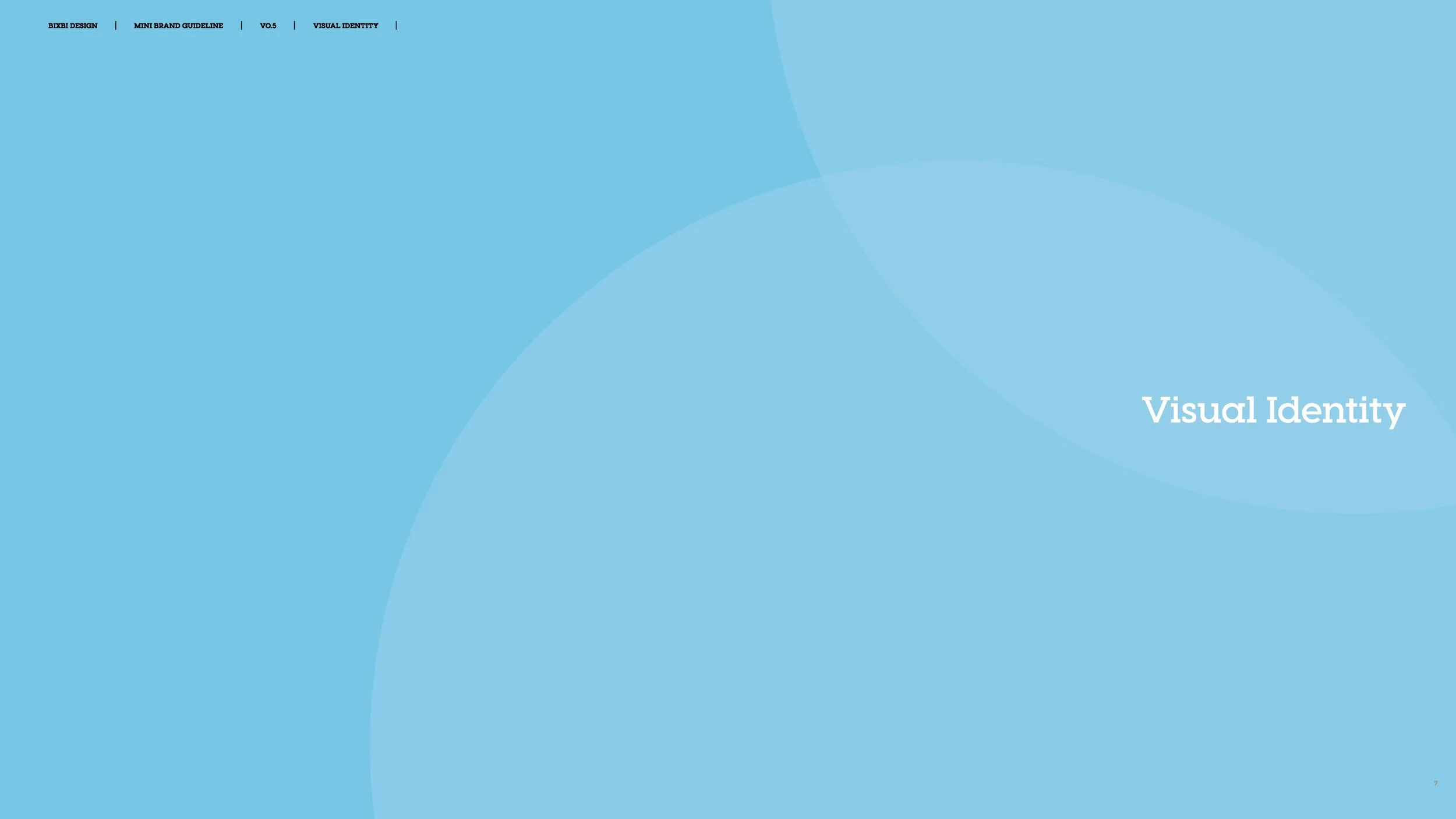 bixbi-brand-guidelines-and-website-style-guide-v0-5_Page_07.jpg