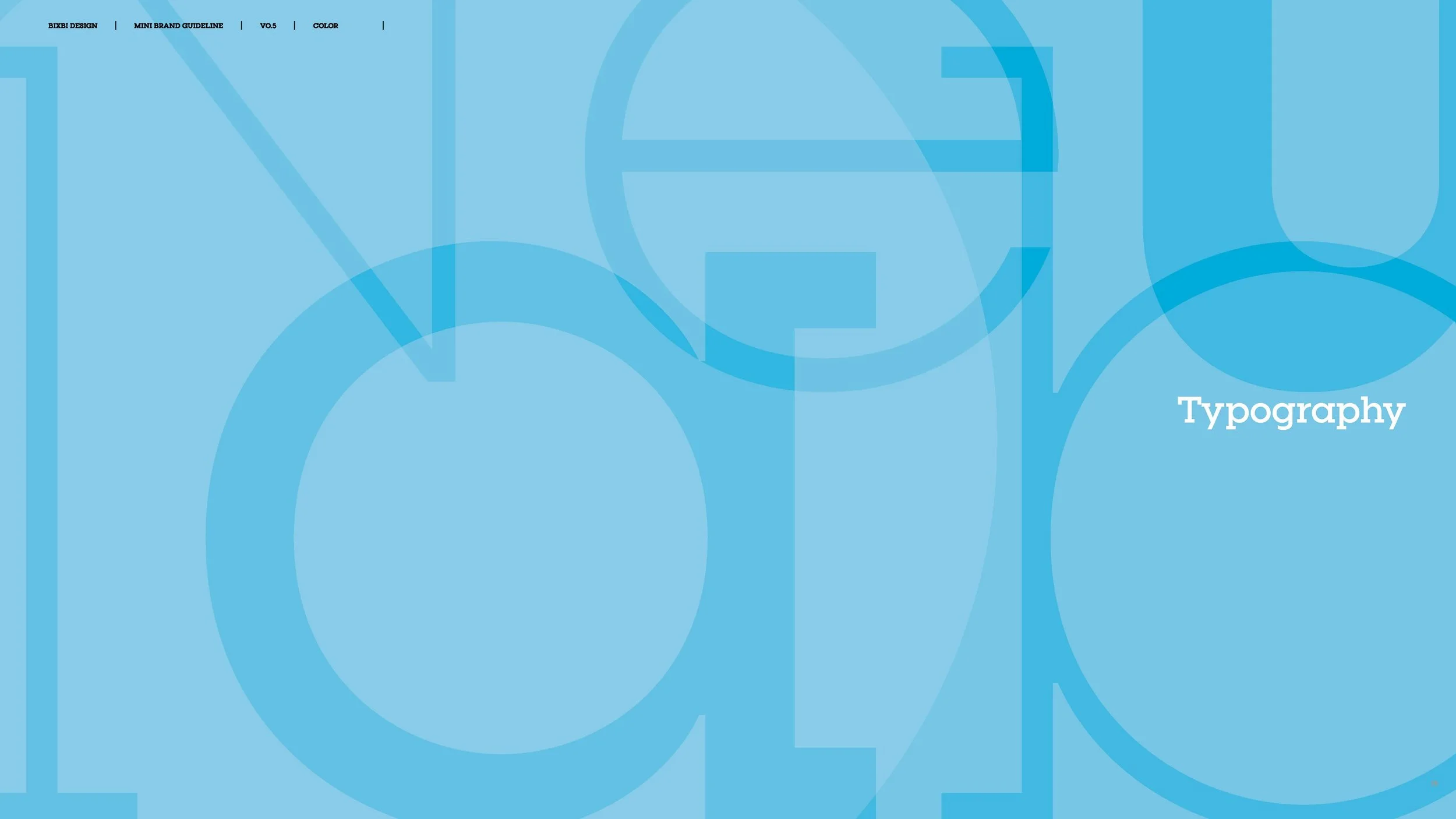 bixbi-brand-guidelines-and-website-style-guide-v0-5_Page_17.jpg