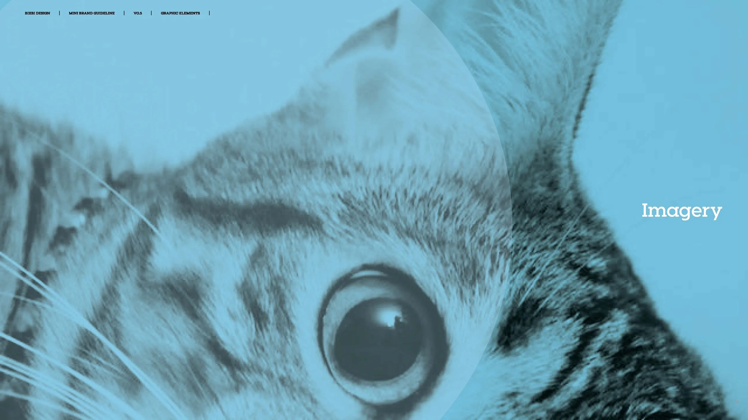 bixbi-brand-guidelines-and-website-style-guide-v0-5_Page_20.jpg