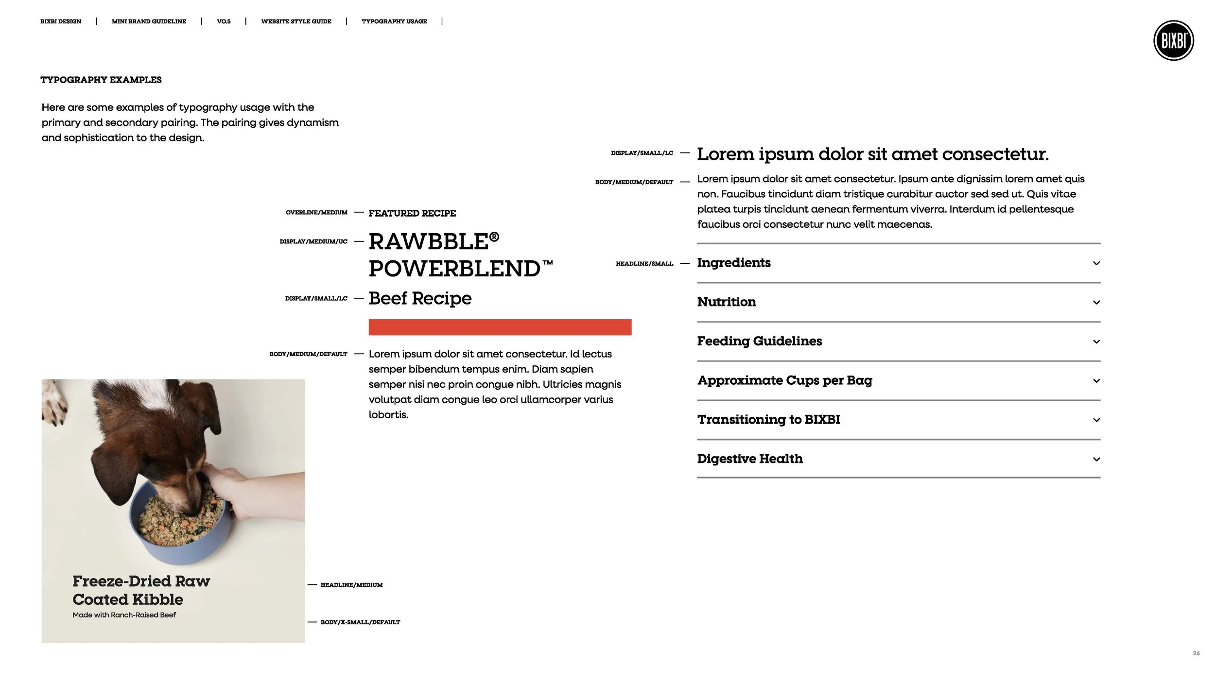 bixbi-brand-guidelines-and-website-style-guide-v0-5_Page_28.jpg