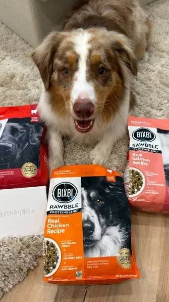 Bixbi Pet