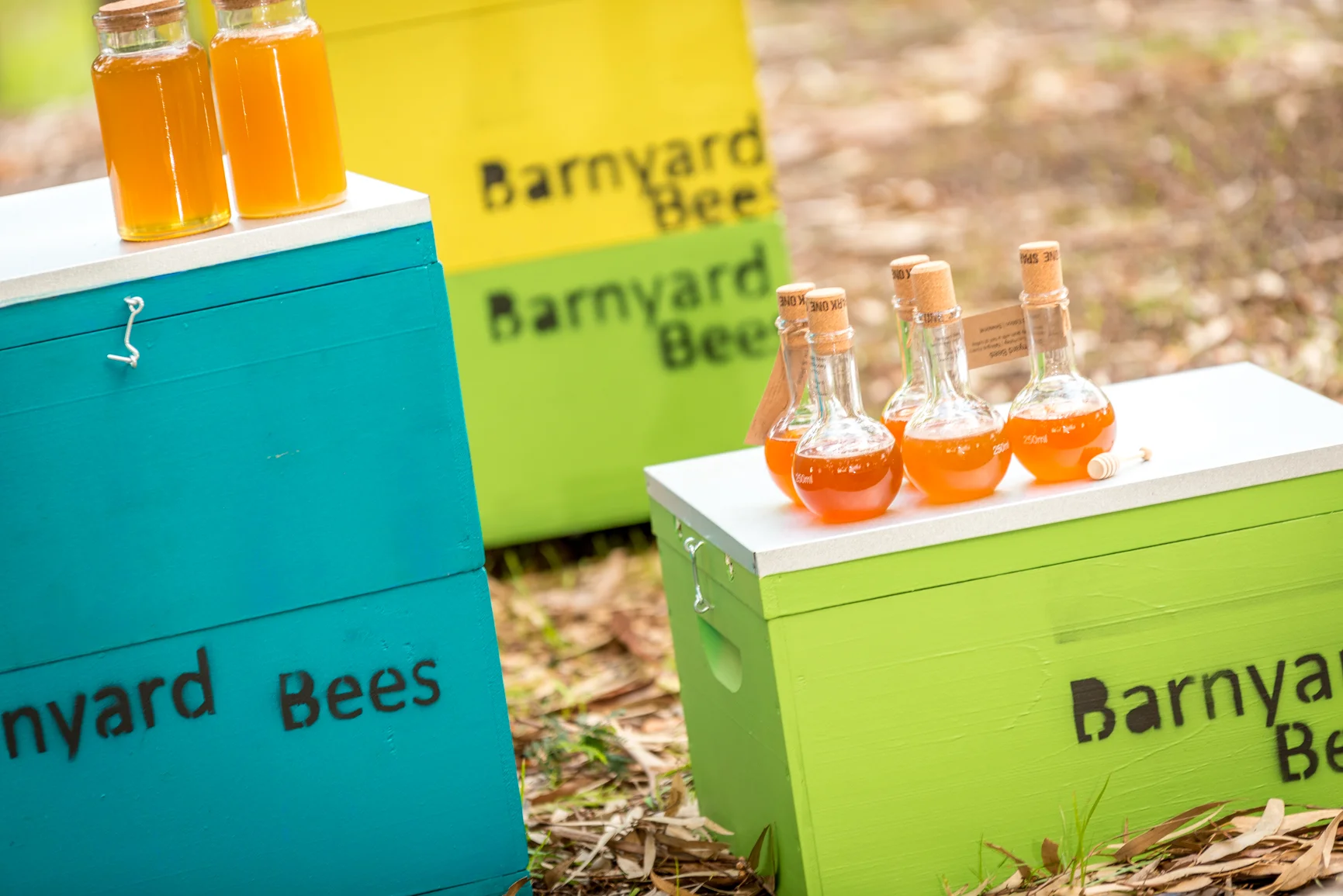 Barnyard beehives.jpg