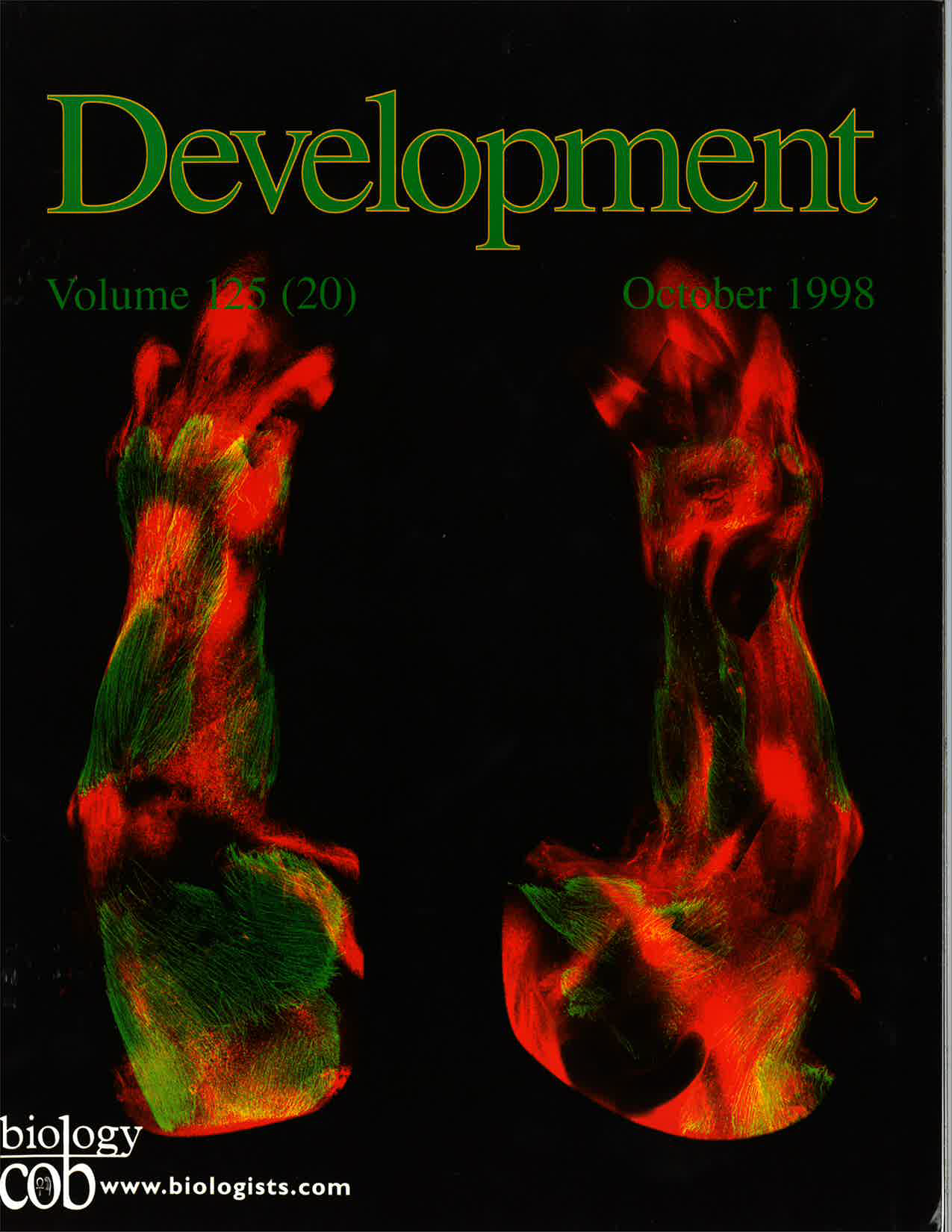 KardonDevelopment1998Cover.png