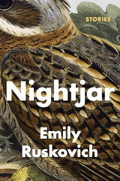 Nightjar.jpg