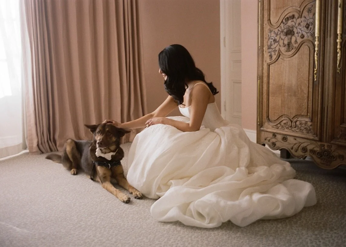 November light spills softly across the room.
A loyal dog at your feet.
Time slowing, just enough.

This is the moment before everything&mdash;
before the doors open,
before the music rises&mdash;
when you get to stay with yourself.

Getting ready is