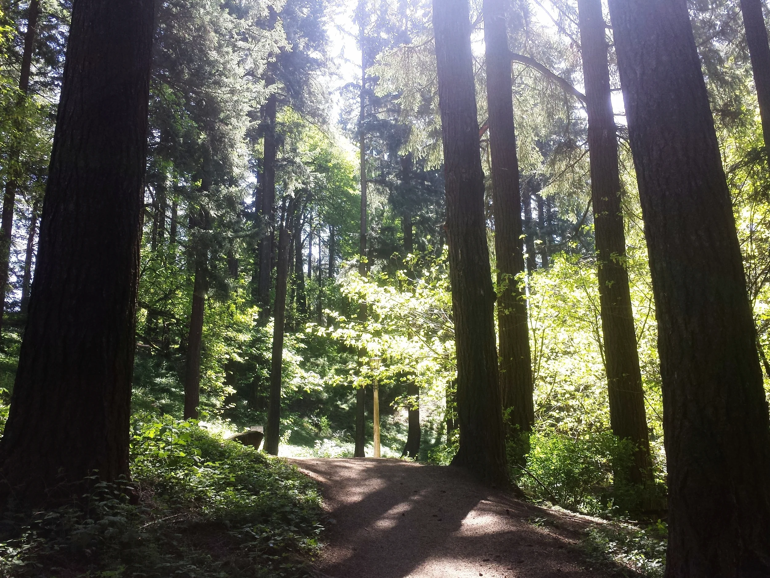 20160417_123235.jpg