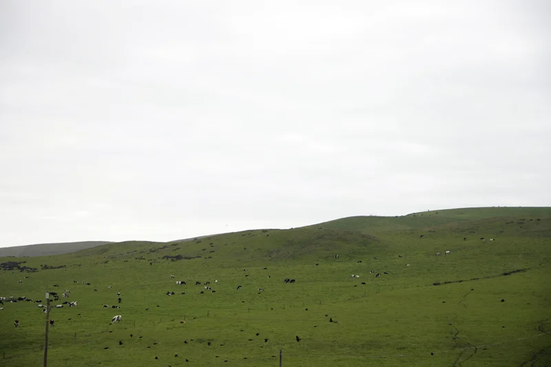 s23.jpg