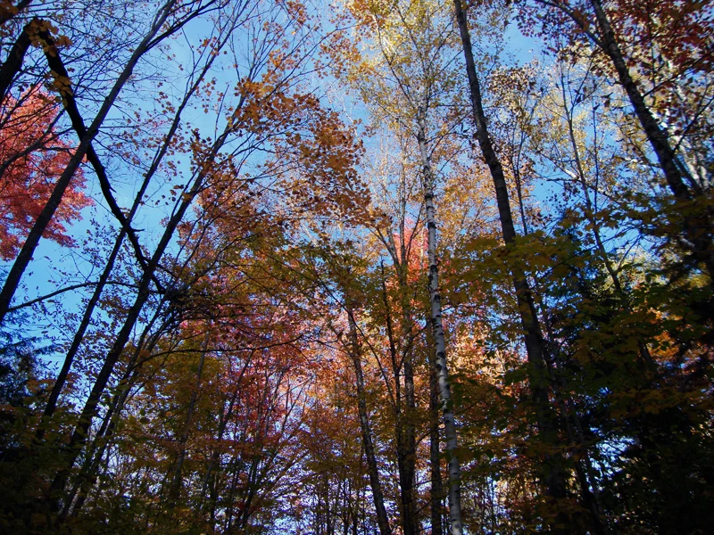 s16.jpg