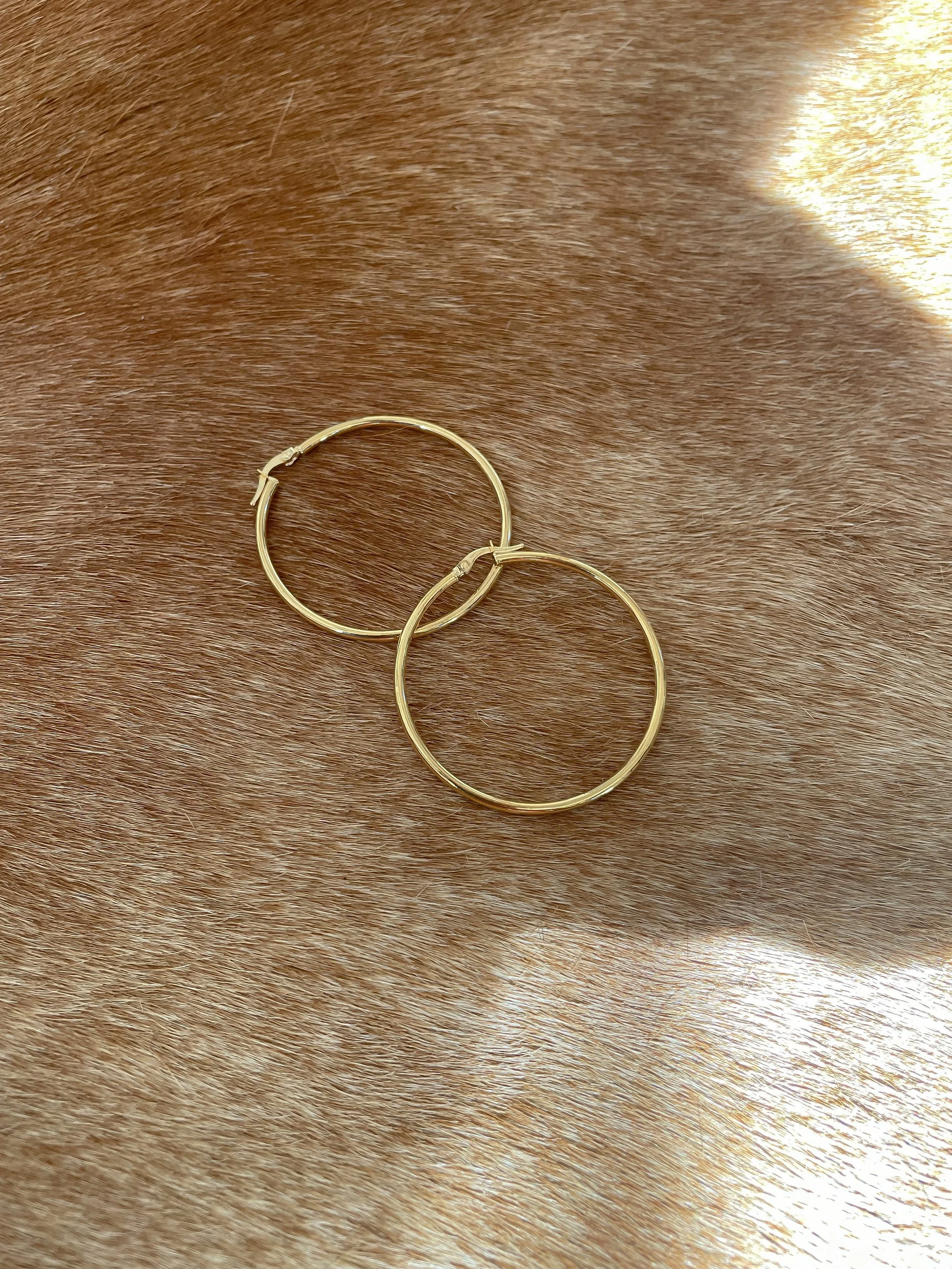 E_Gold Hoops_1.JPG