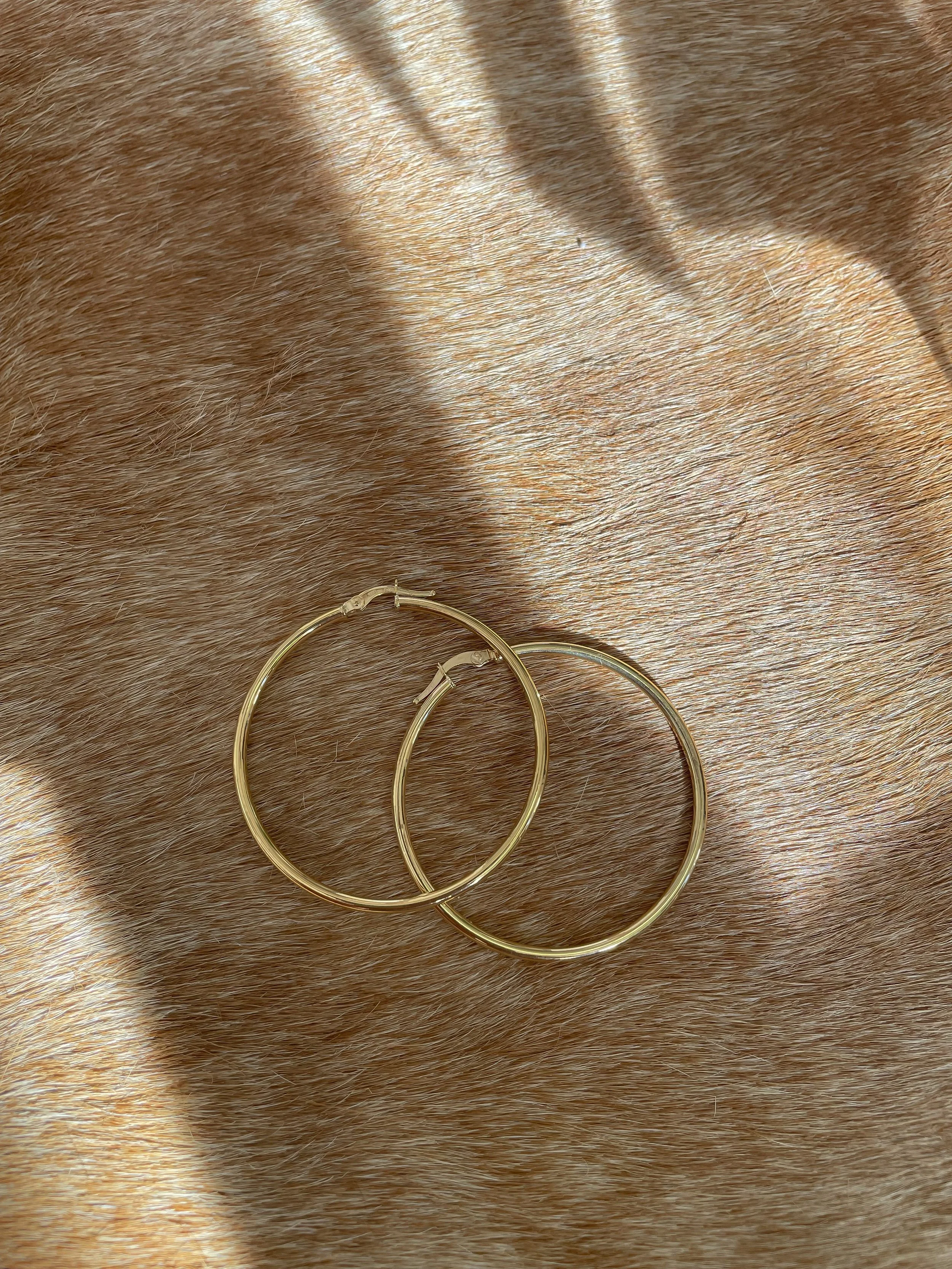E_Gold Hoops_2.JPG