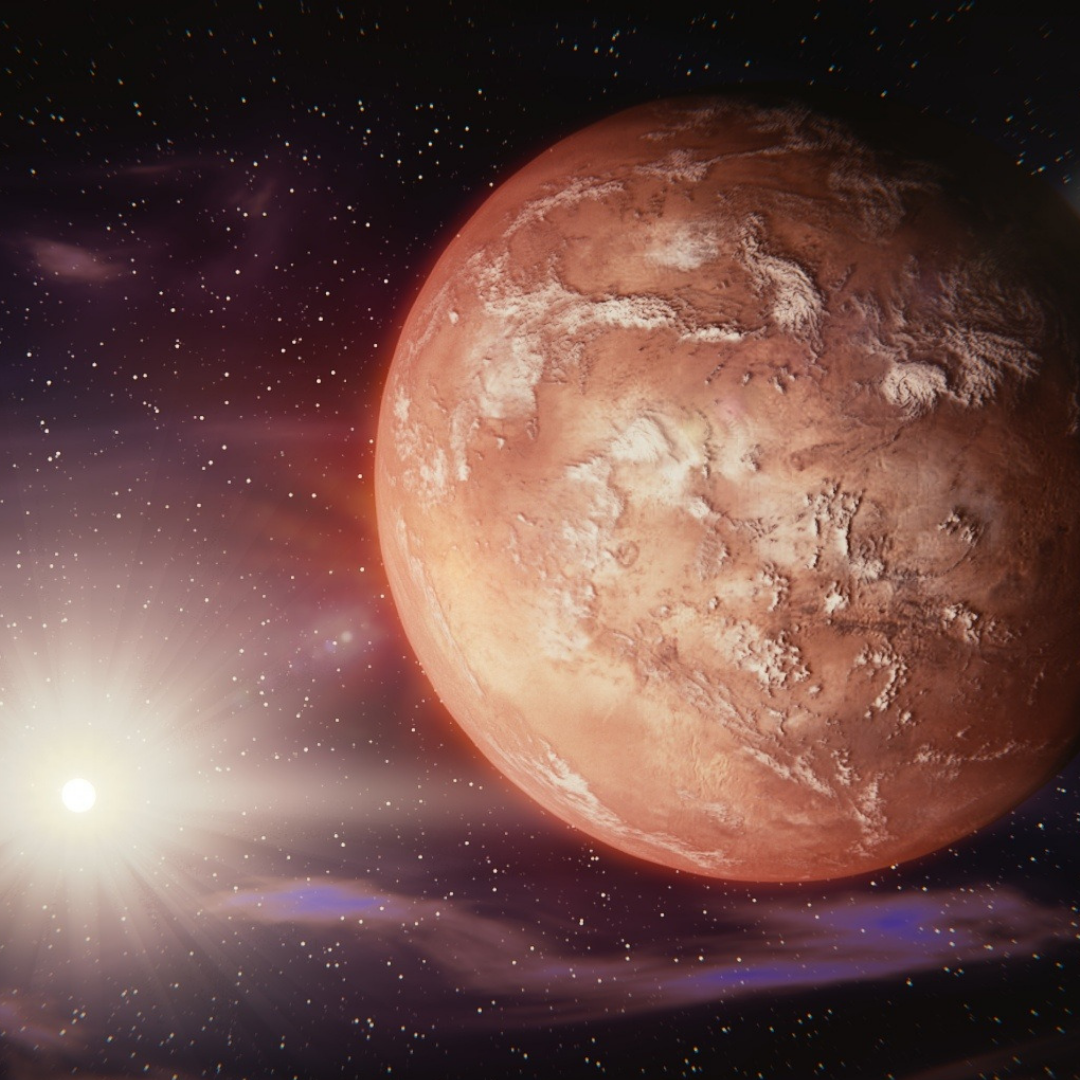 Untitled design (2).png