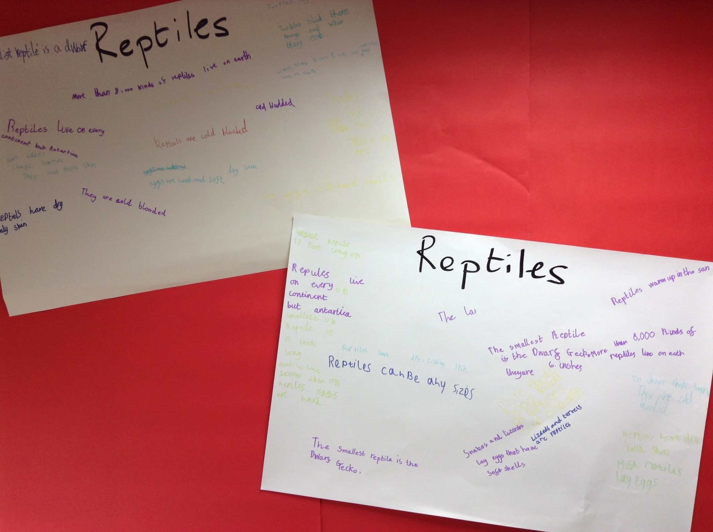 Year 3 - Digital Research
