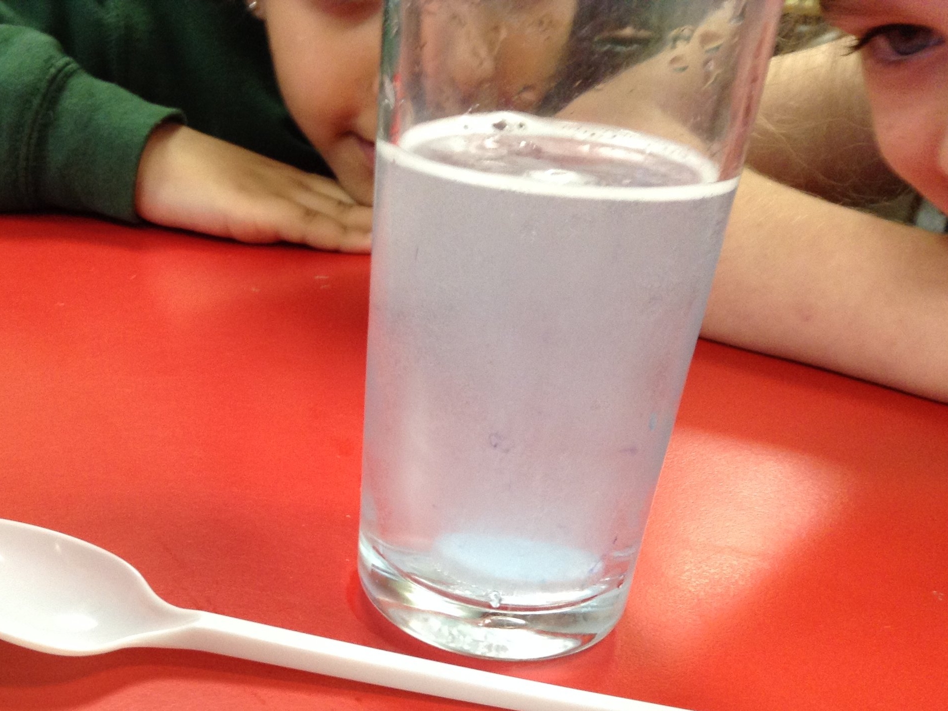 Year 4 Science Investigation
