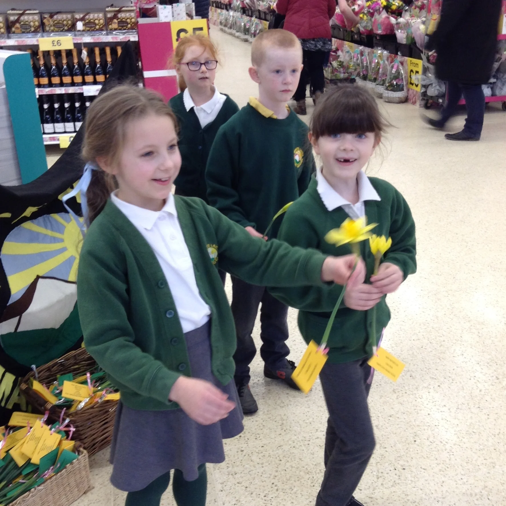 Mother's Day Daffodils         