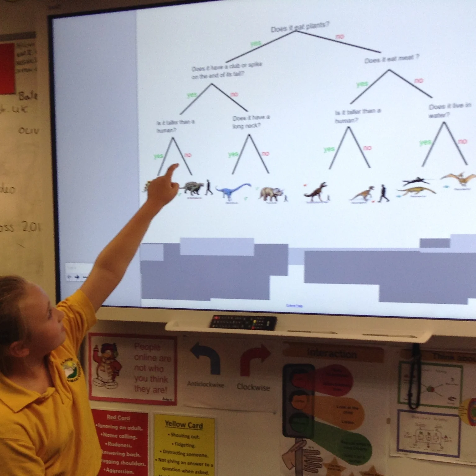 Yr3 Branching Databases