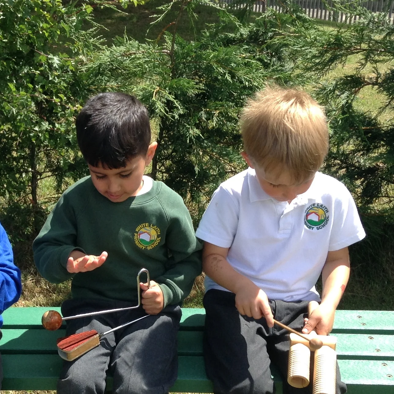 Wild Woodland Music!