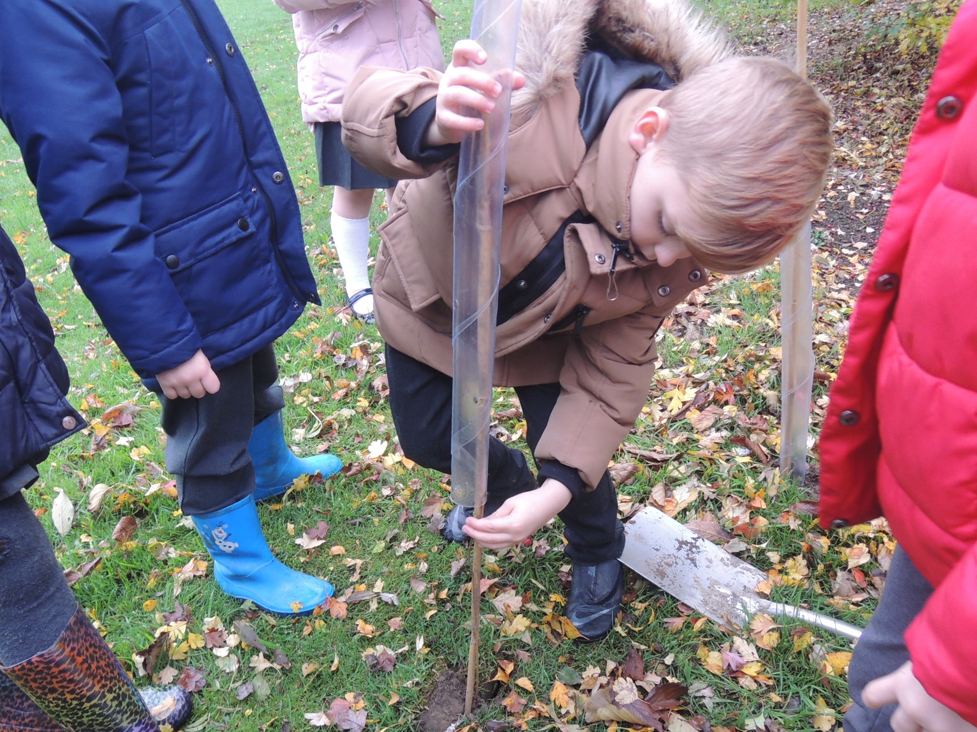 Tree Planting in Year 2