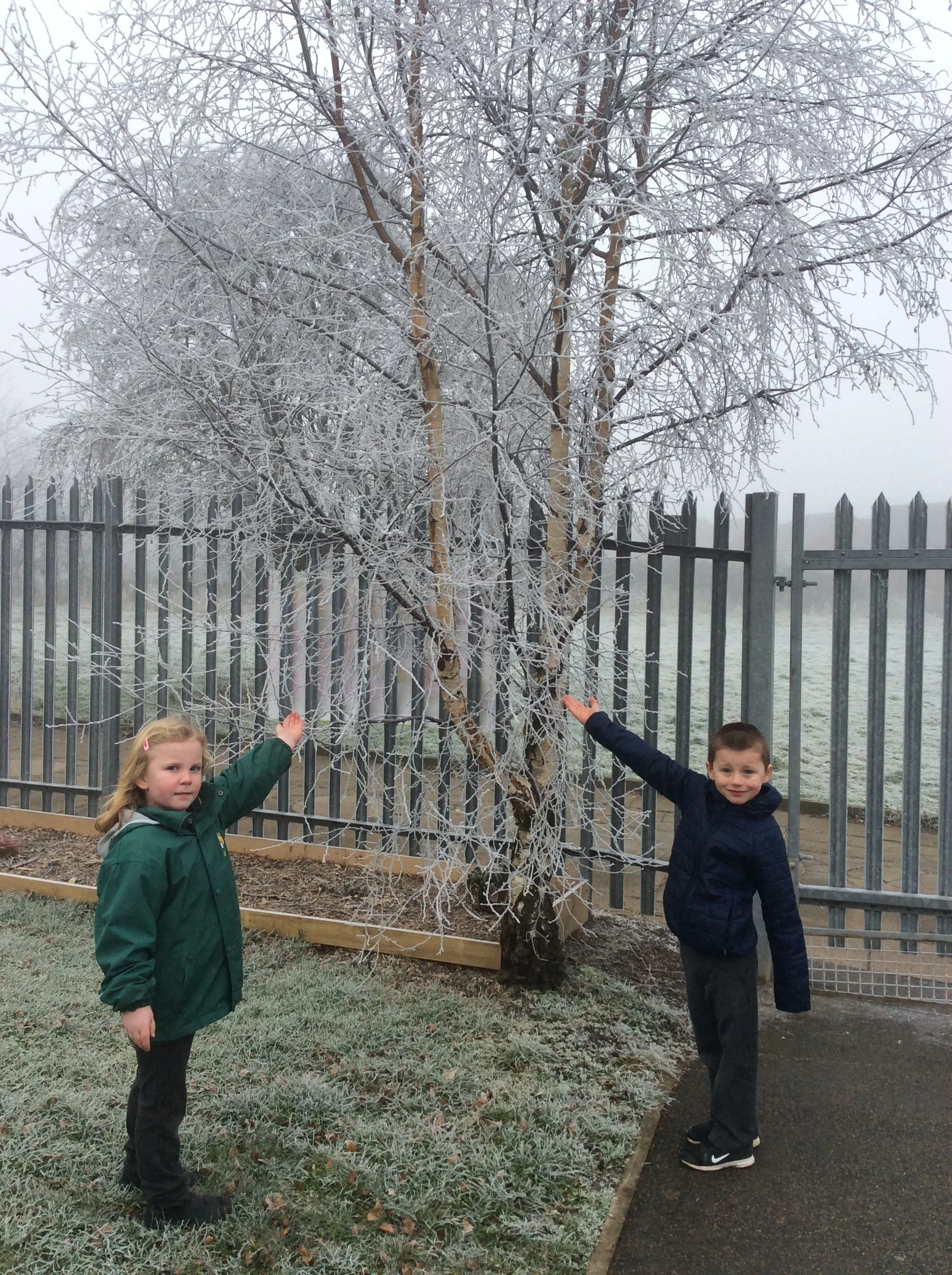 Jack Frost Poetry!