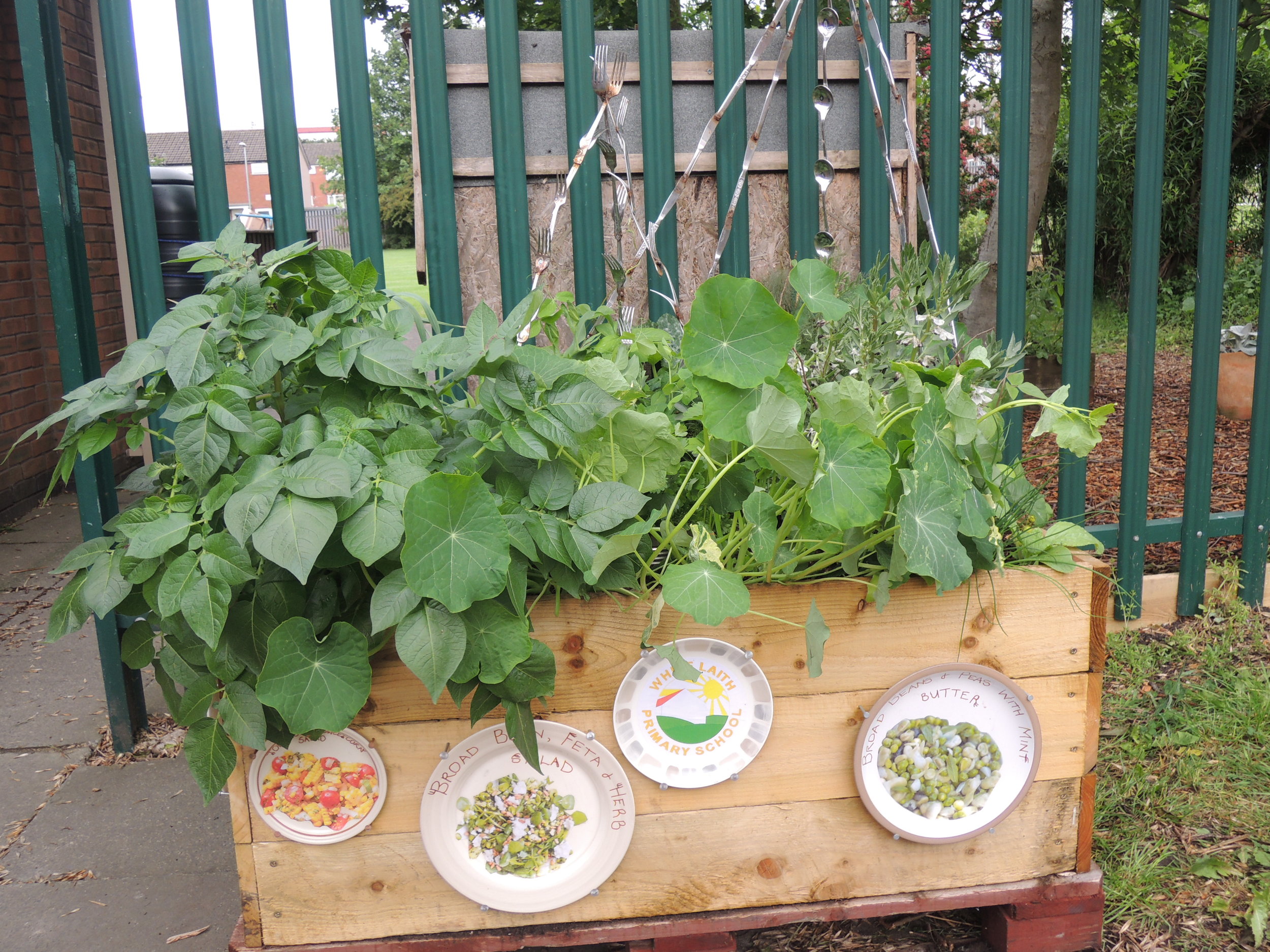 Great Yorkshire Show Vegetable Box Competition