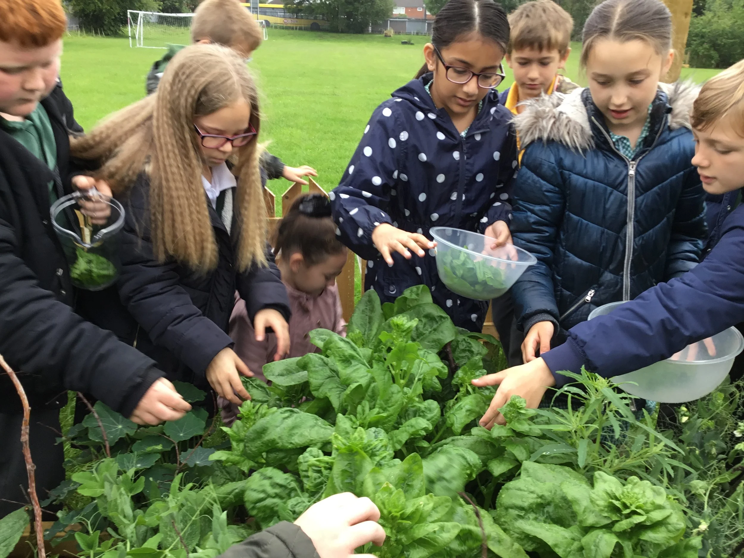 Amazon’s Fresh Spinach Pizza Spirals