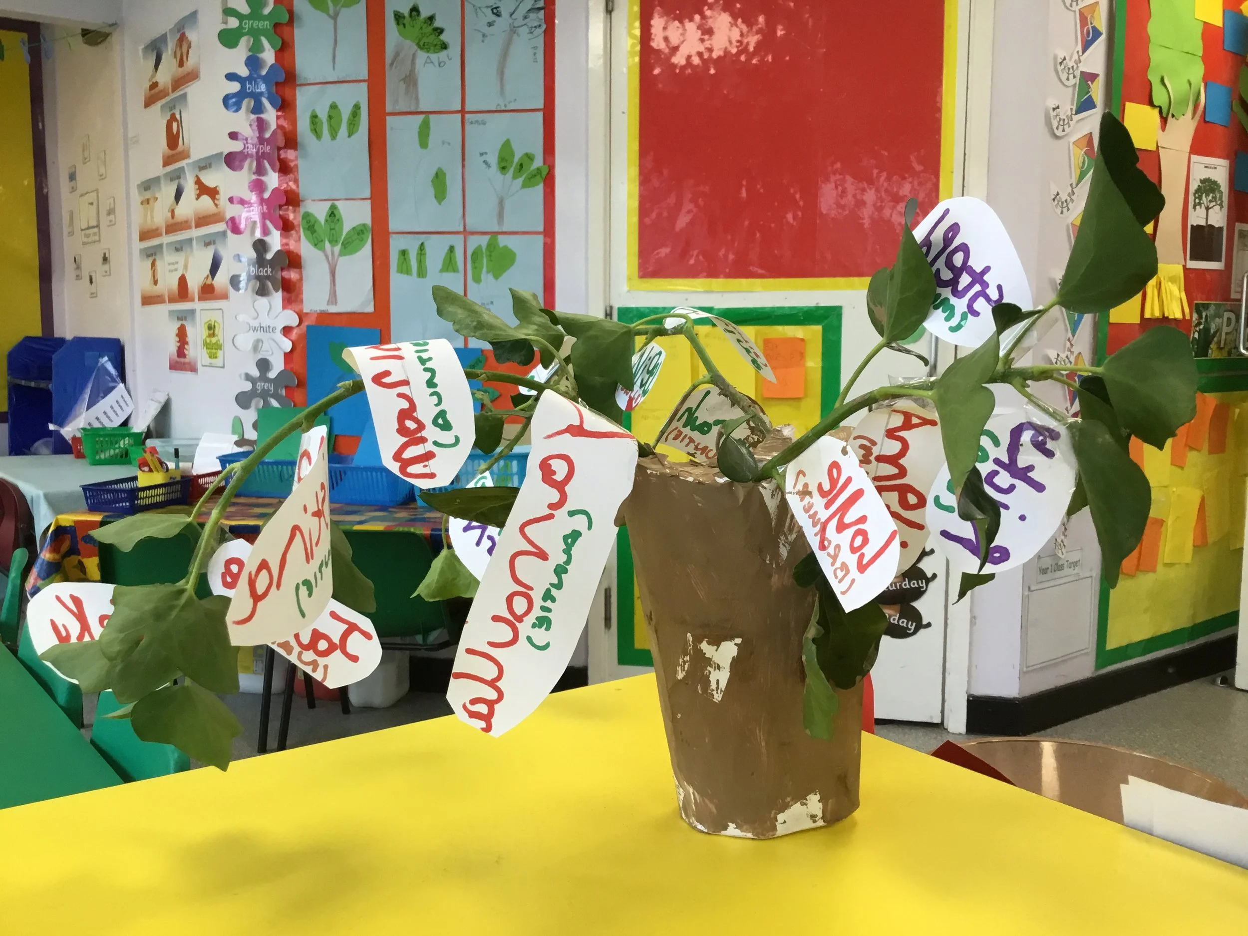 Amazing Homework in Year 1!