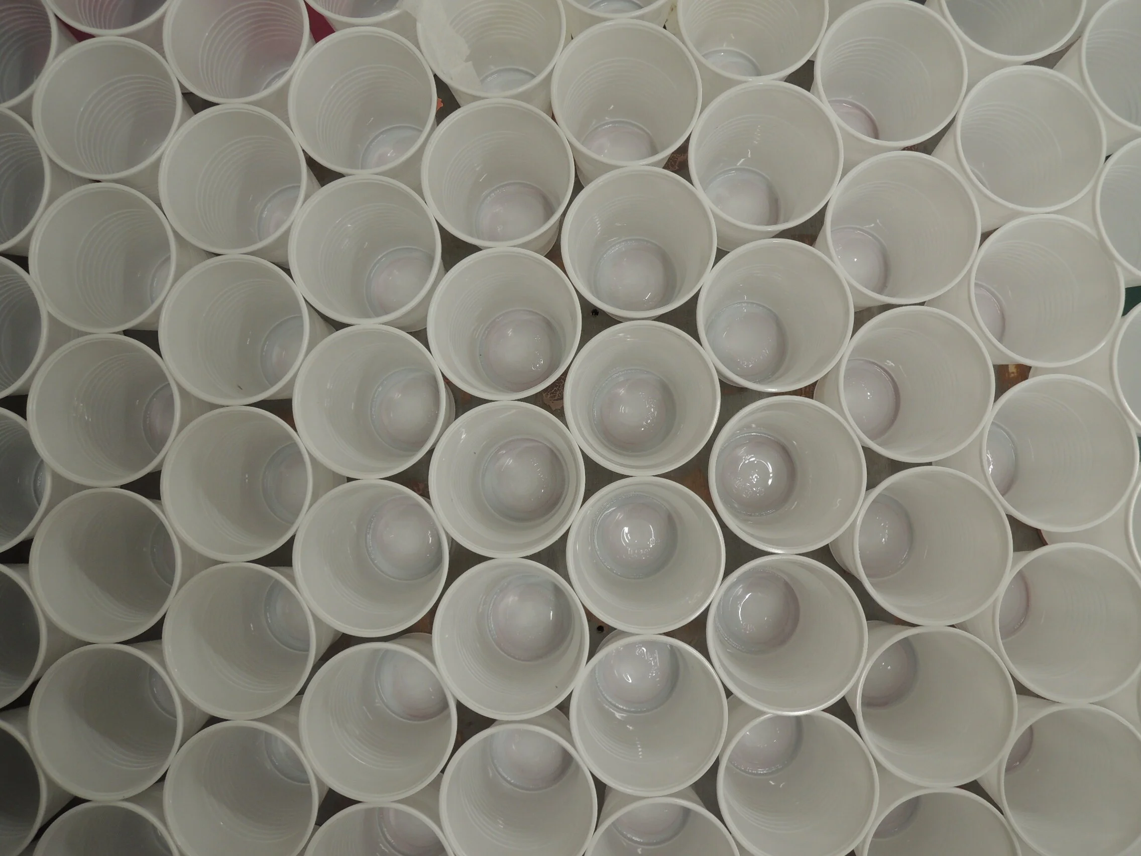 DSCN9850.JPG