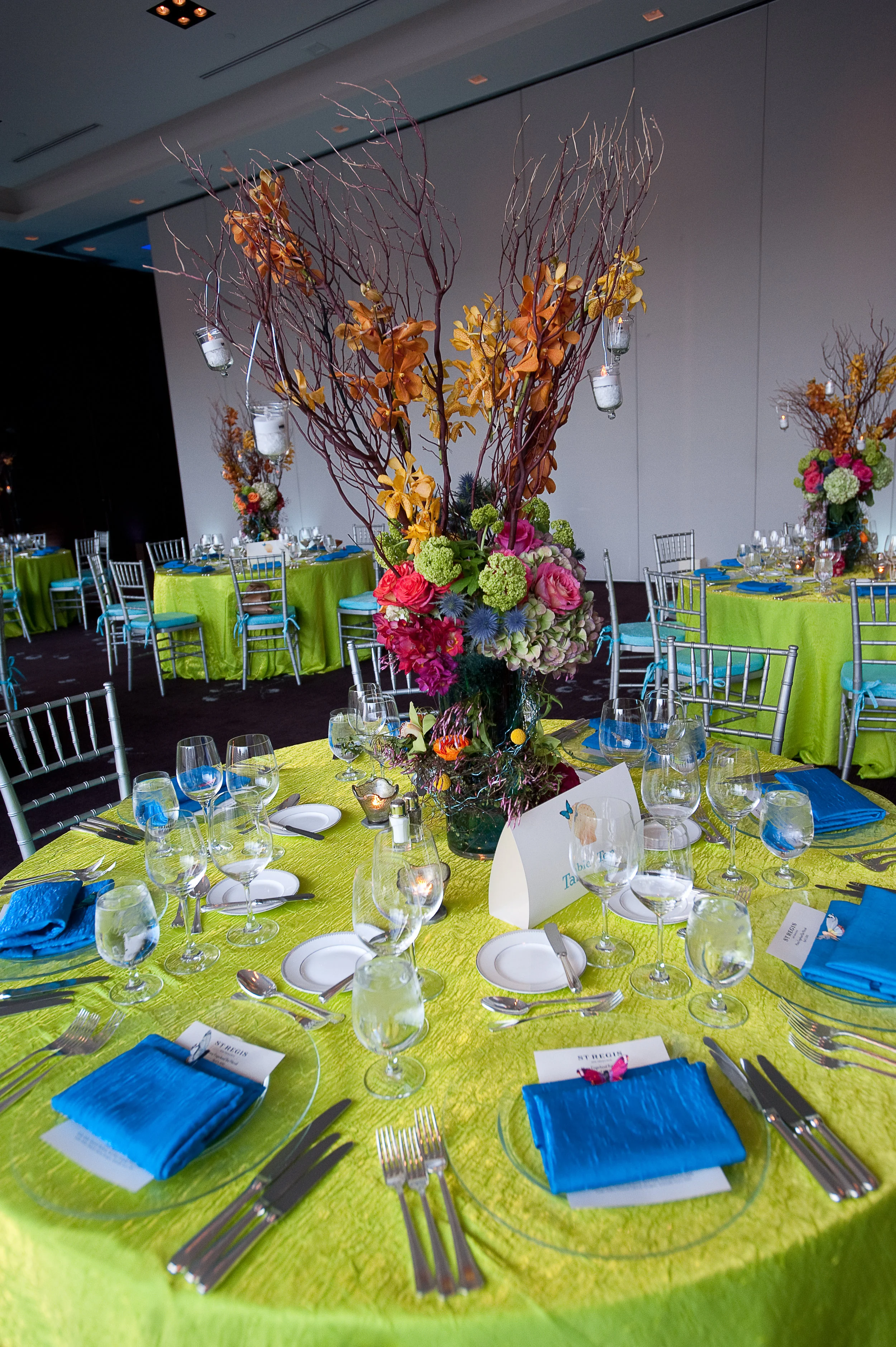 Minna's Bat MitzvahSt. Regis Hotel