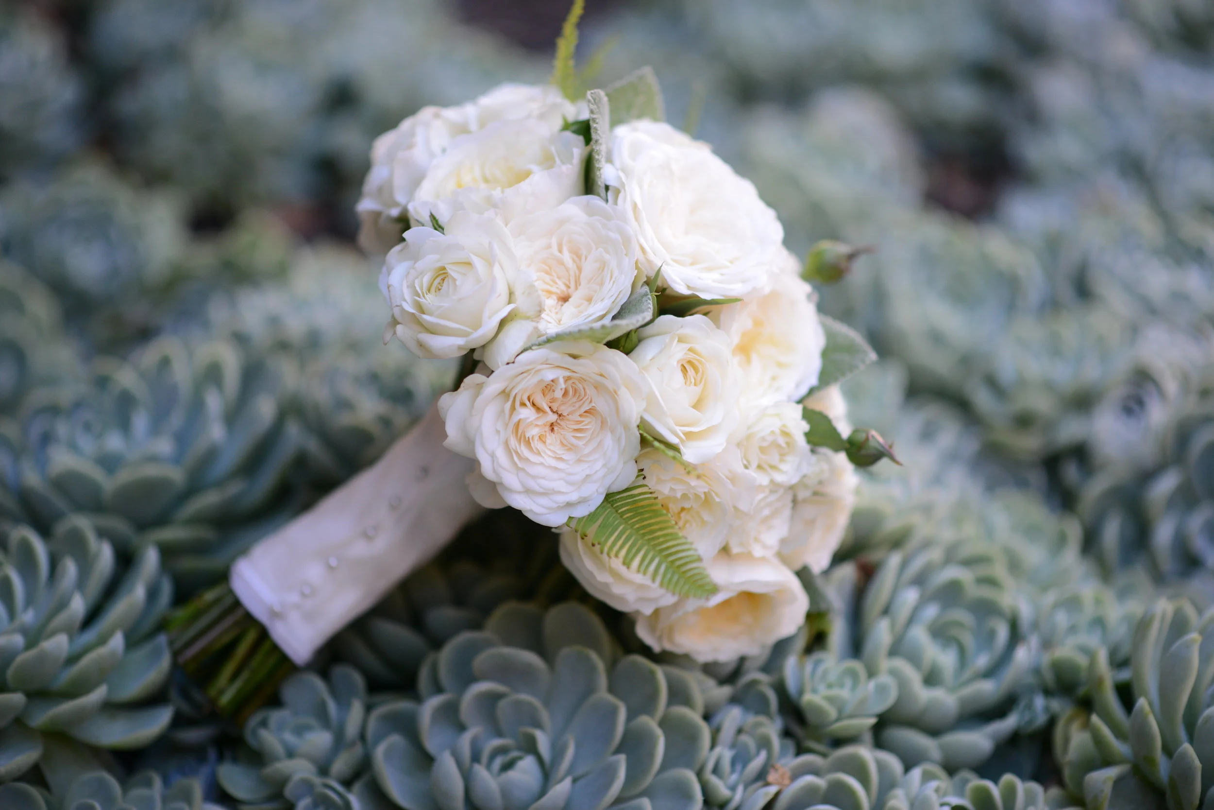 Healdsburg WeddingMichel-Schlumberger Winery