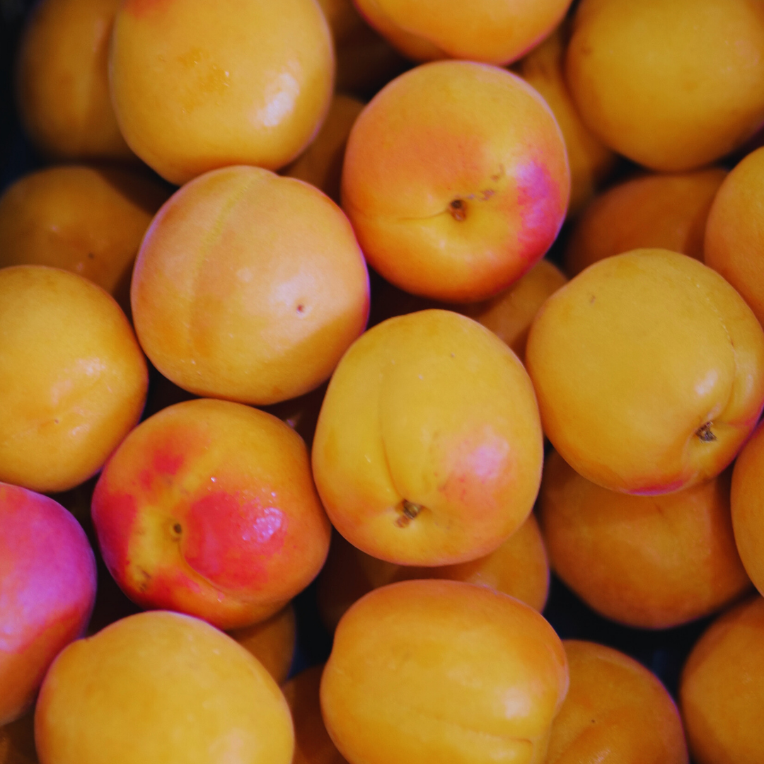 Close-up of yellow peaches with some pink blush, arranged closely together.