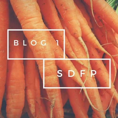 WELCOME TO THE NEW SDFP WEBSITE.