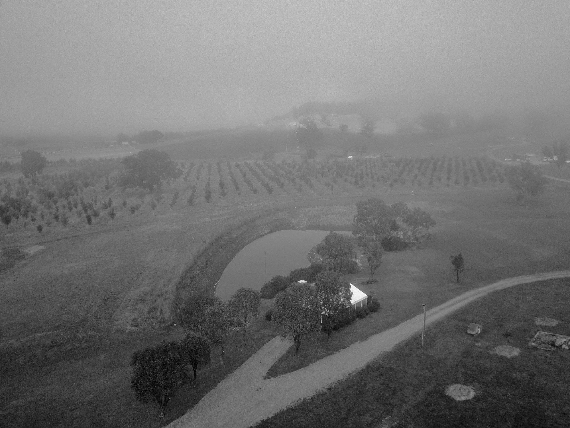 The Truffle Farm In Canberra 