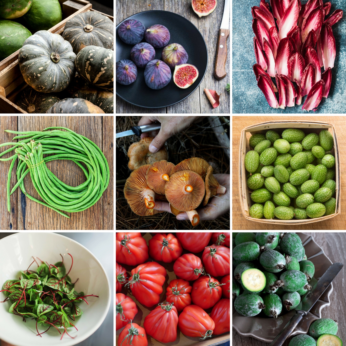 SOME OF THE FRESH PRODUCE ON DISPLAY AT THE EVENT.