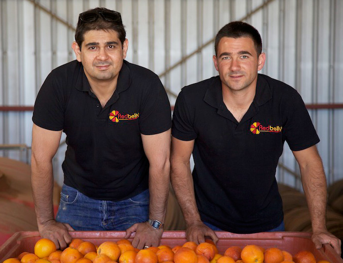 LEFT. LEONARD MANCINI. RIGHT. VITO MANCINI. DIRECTORS OF REDBELLY CITRUS.