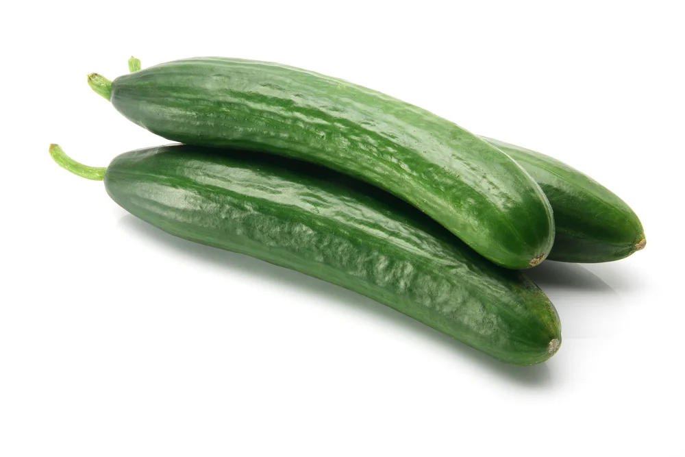 shutterstock_65936953.jpg