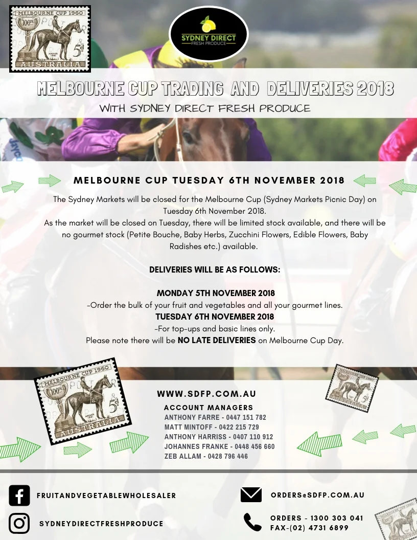 MELBOURNE CUP SDFP 2018..jpg
