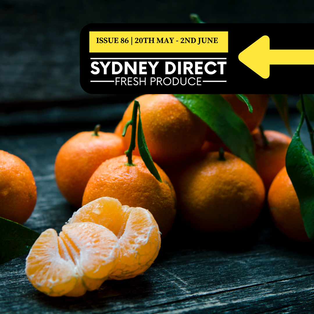 ISSUE 86 "FRESH IS BEST" 