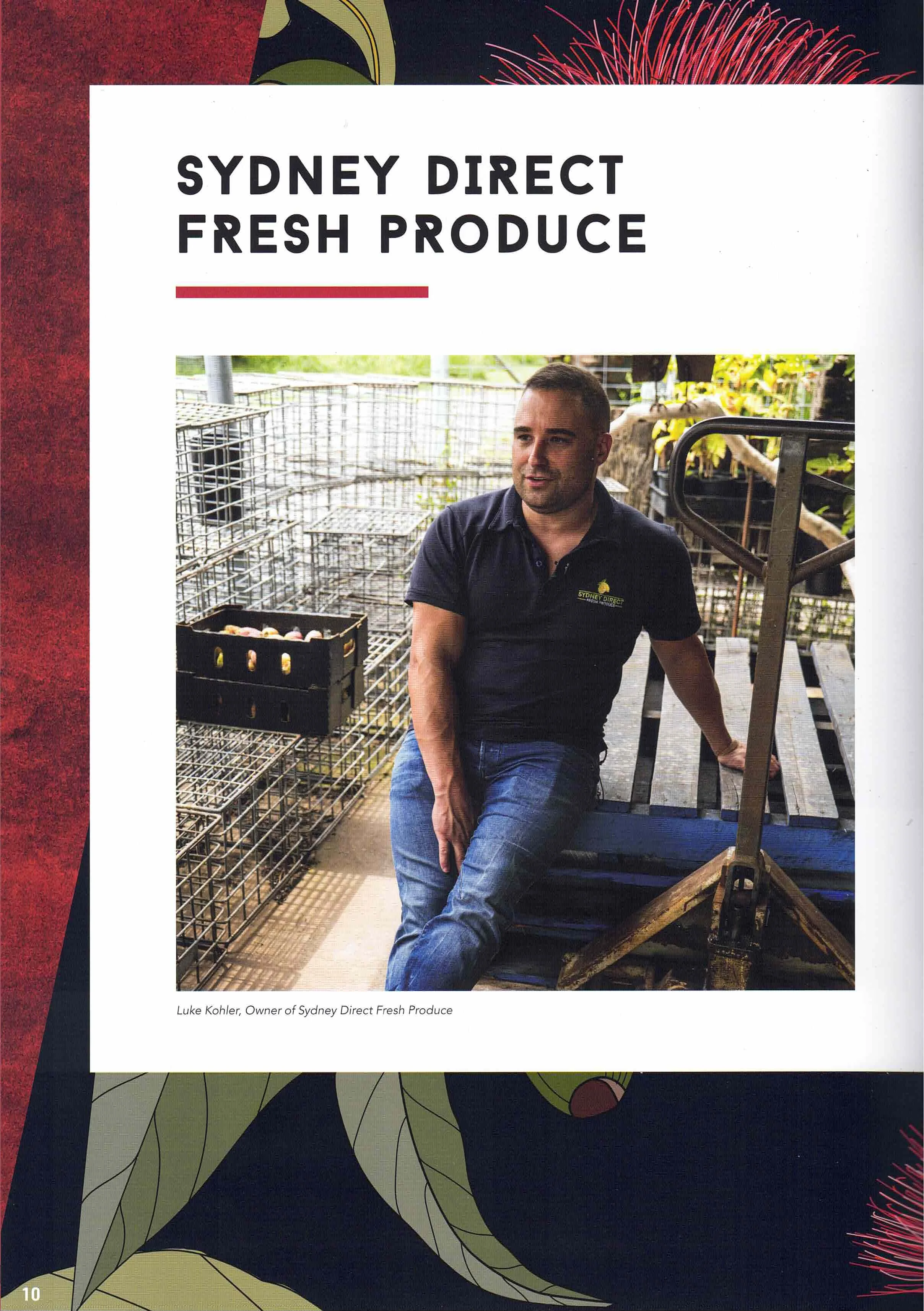 MEET THE PROVIDORE | A DIRECT PIVOT PRODUCING FRESH BUSINESS