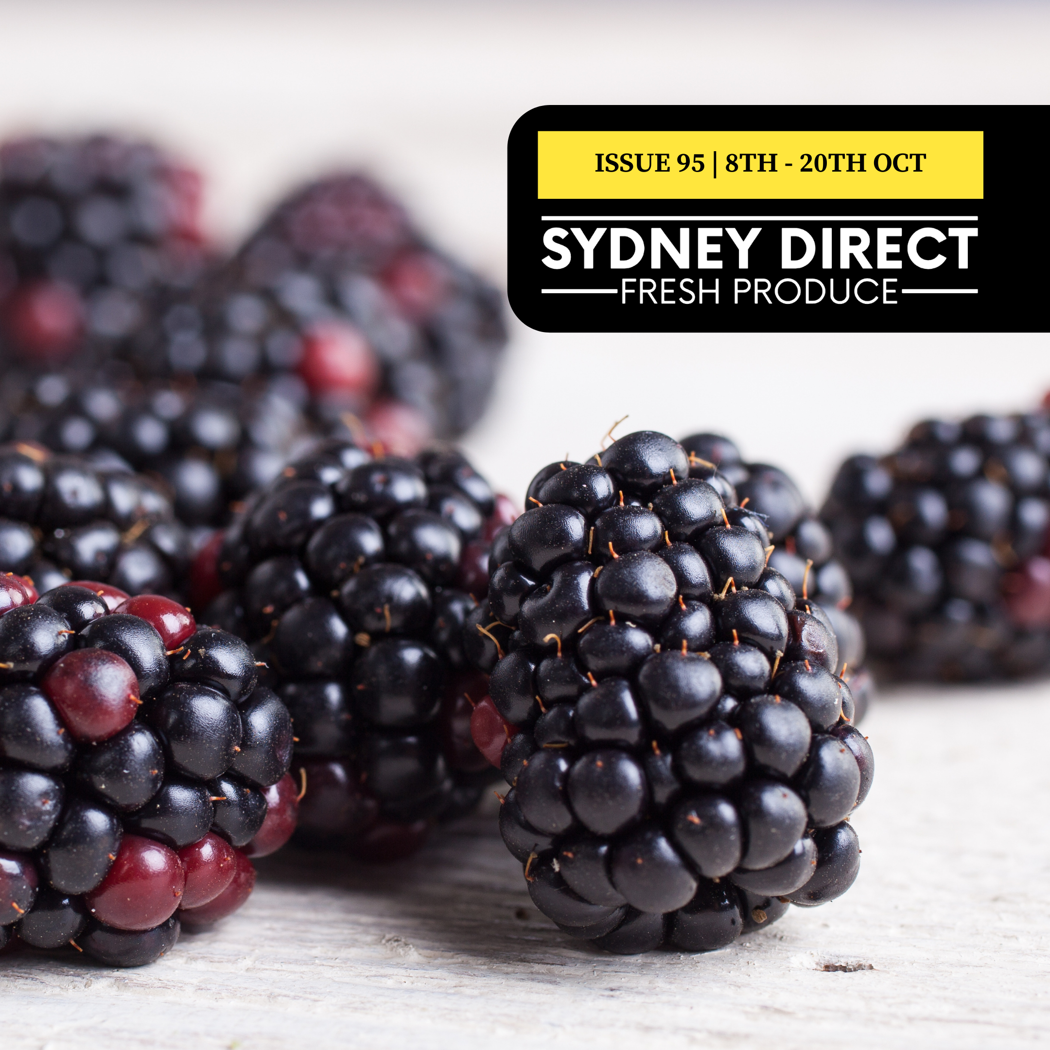 ISSUE 96 "FRESH IS BEST" 