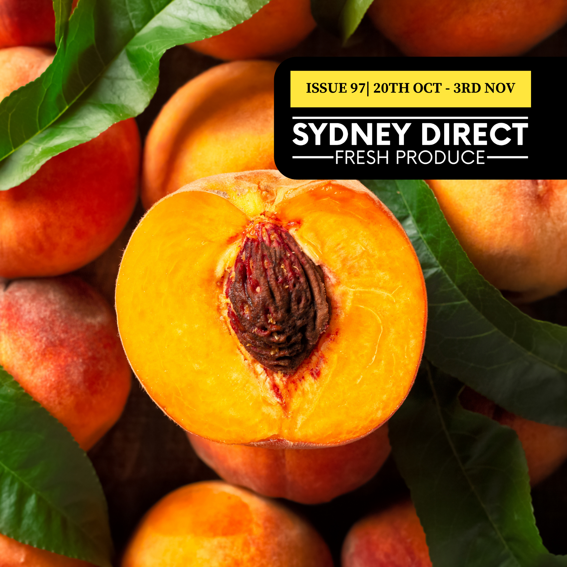 ISSUE 97 "FRESH IS BEST"