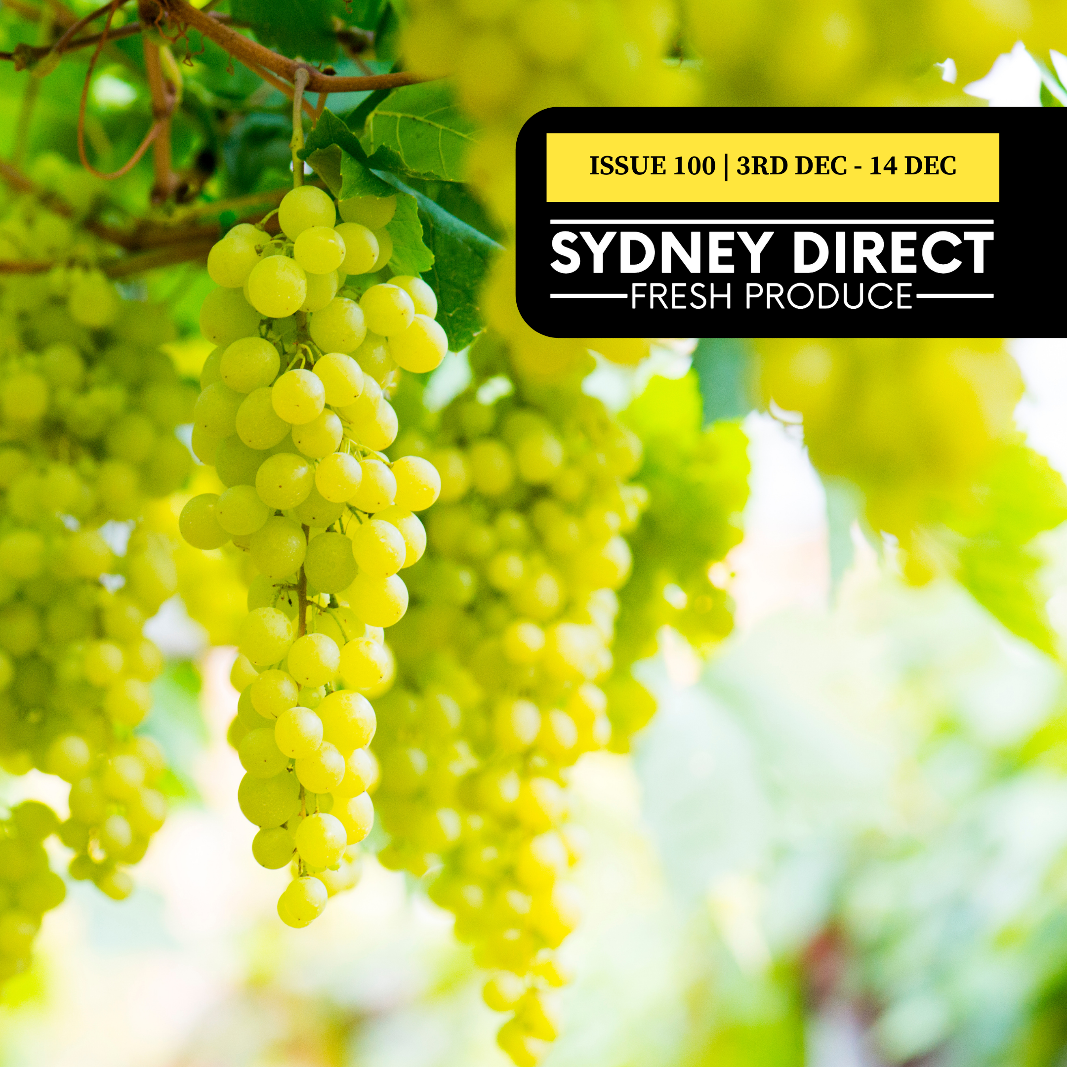 ISSUE 100 "FRESH IS BEST" 