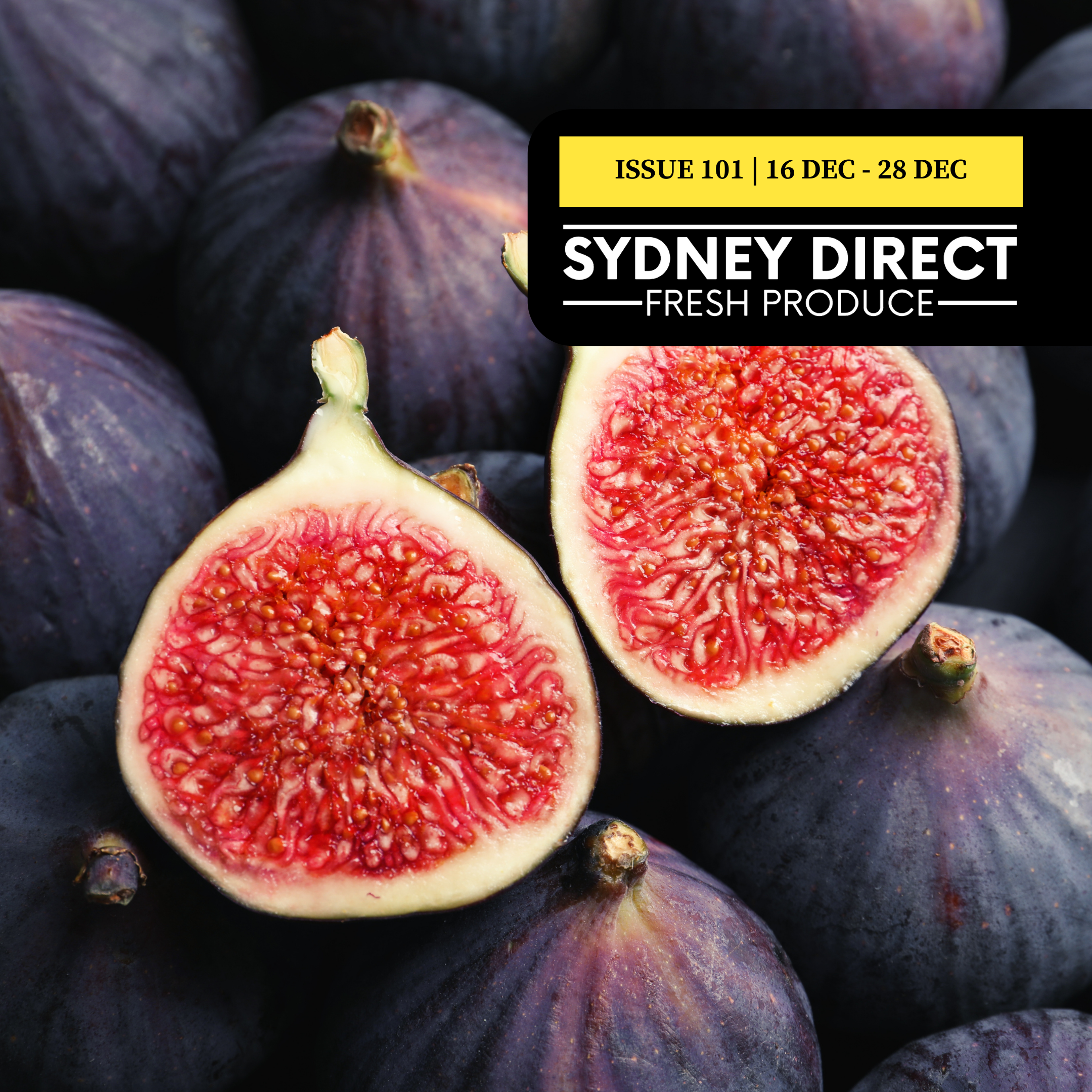 ISSUE 101 "FRESH IS BEST"  