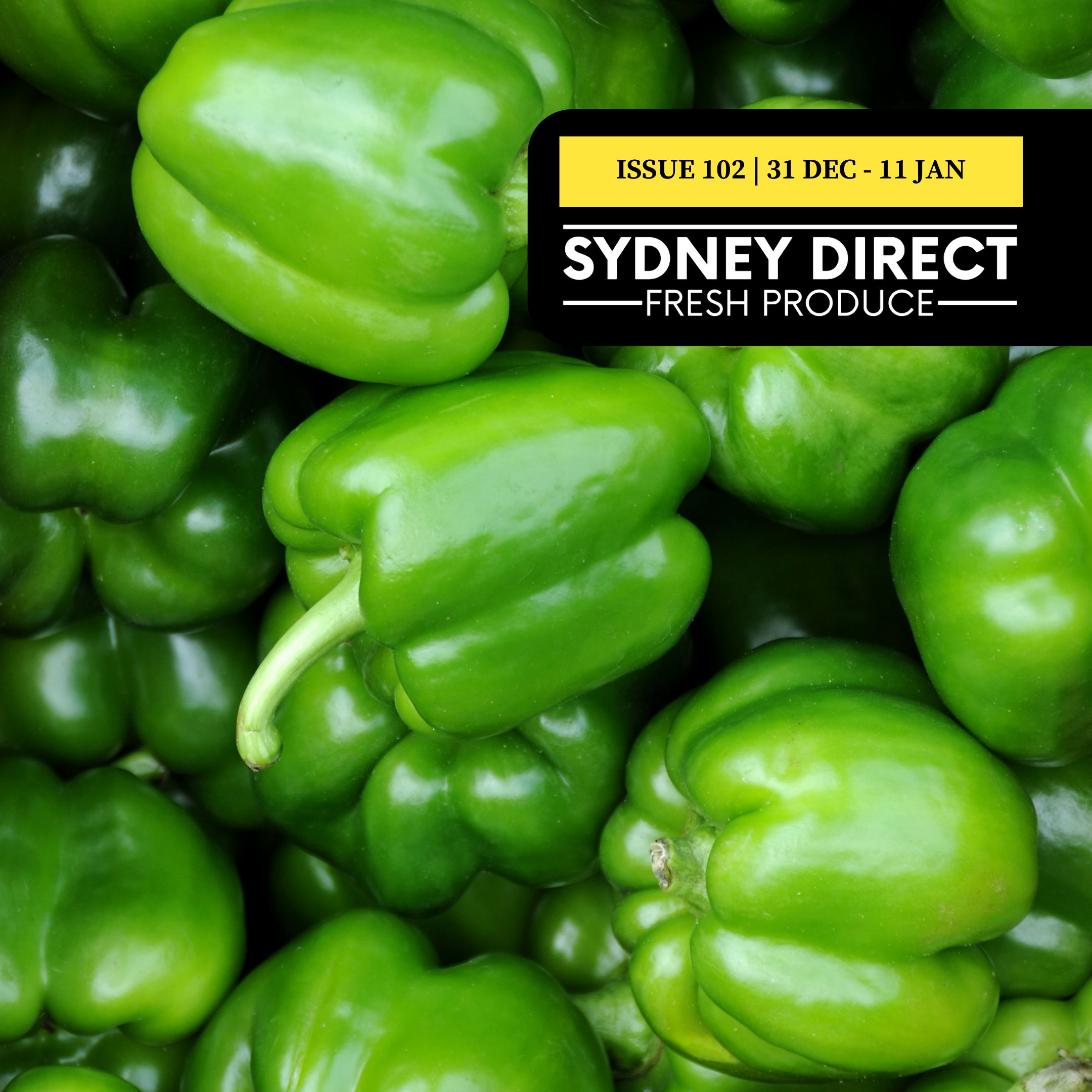 ISSUE 102 "FRESH IS BEST"  