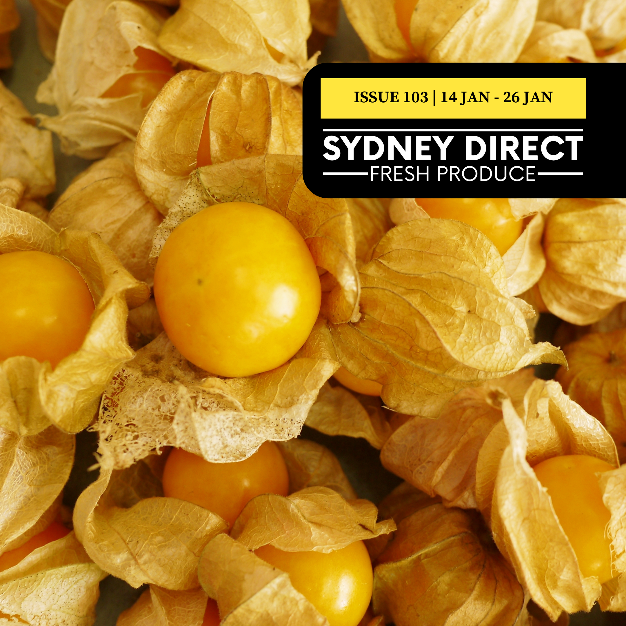 ISSUE 103 "FRESH IS BEST"  