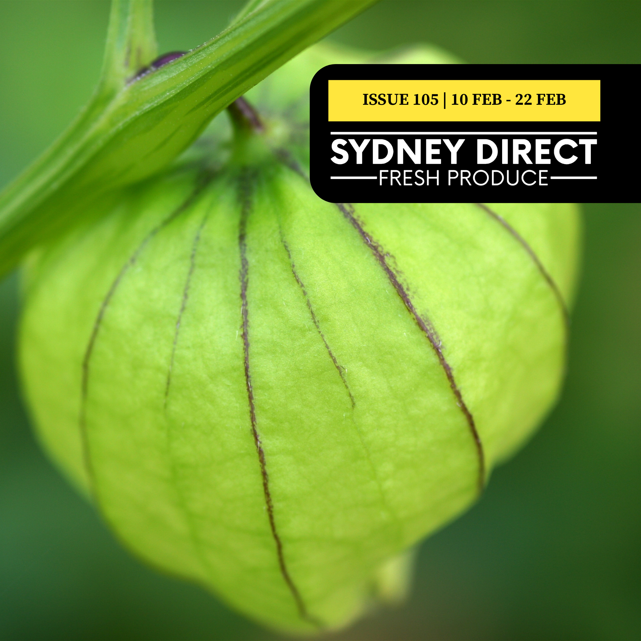 ISSUE 105 "FRESH IS BEST" 