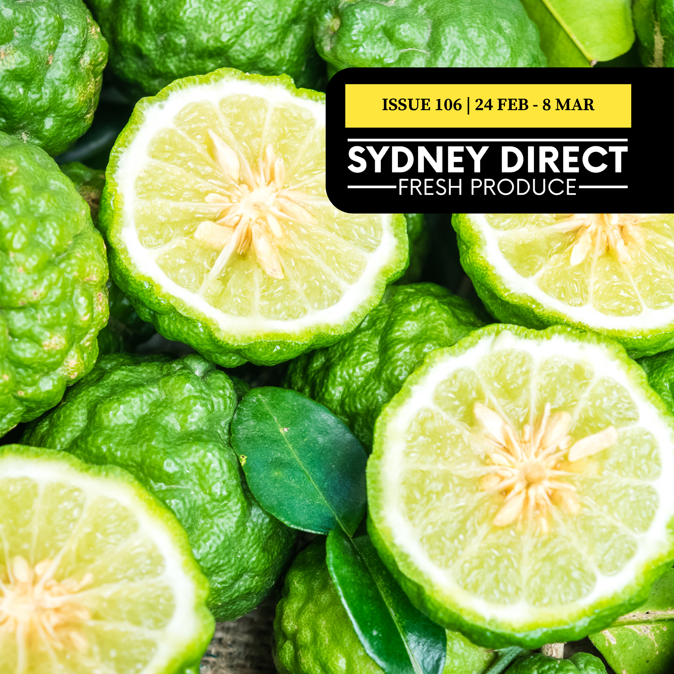 ISSUE 106 "FRESH IS BEST" 