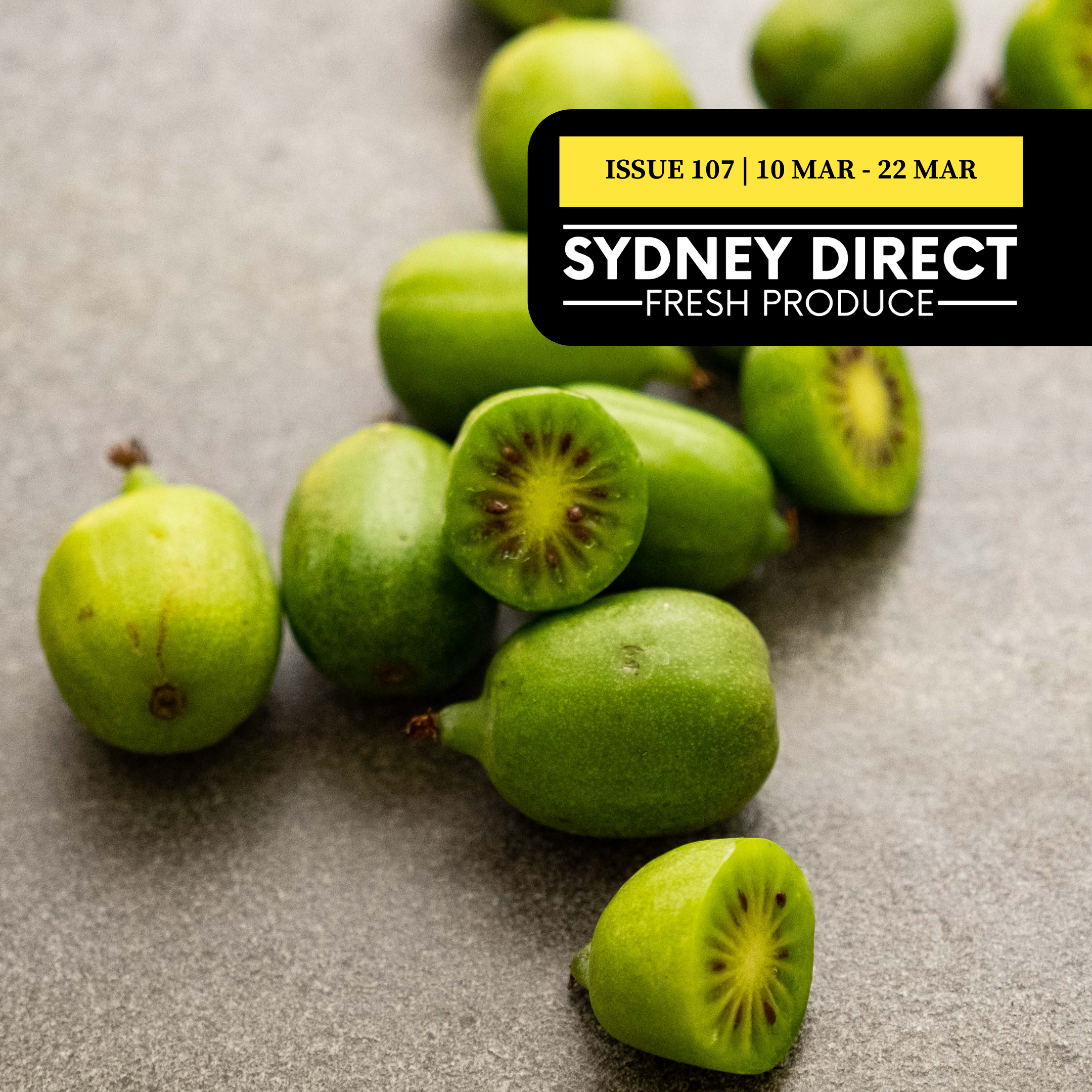 ISSUE 107 "FRESH IS BEST" 