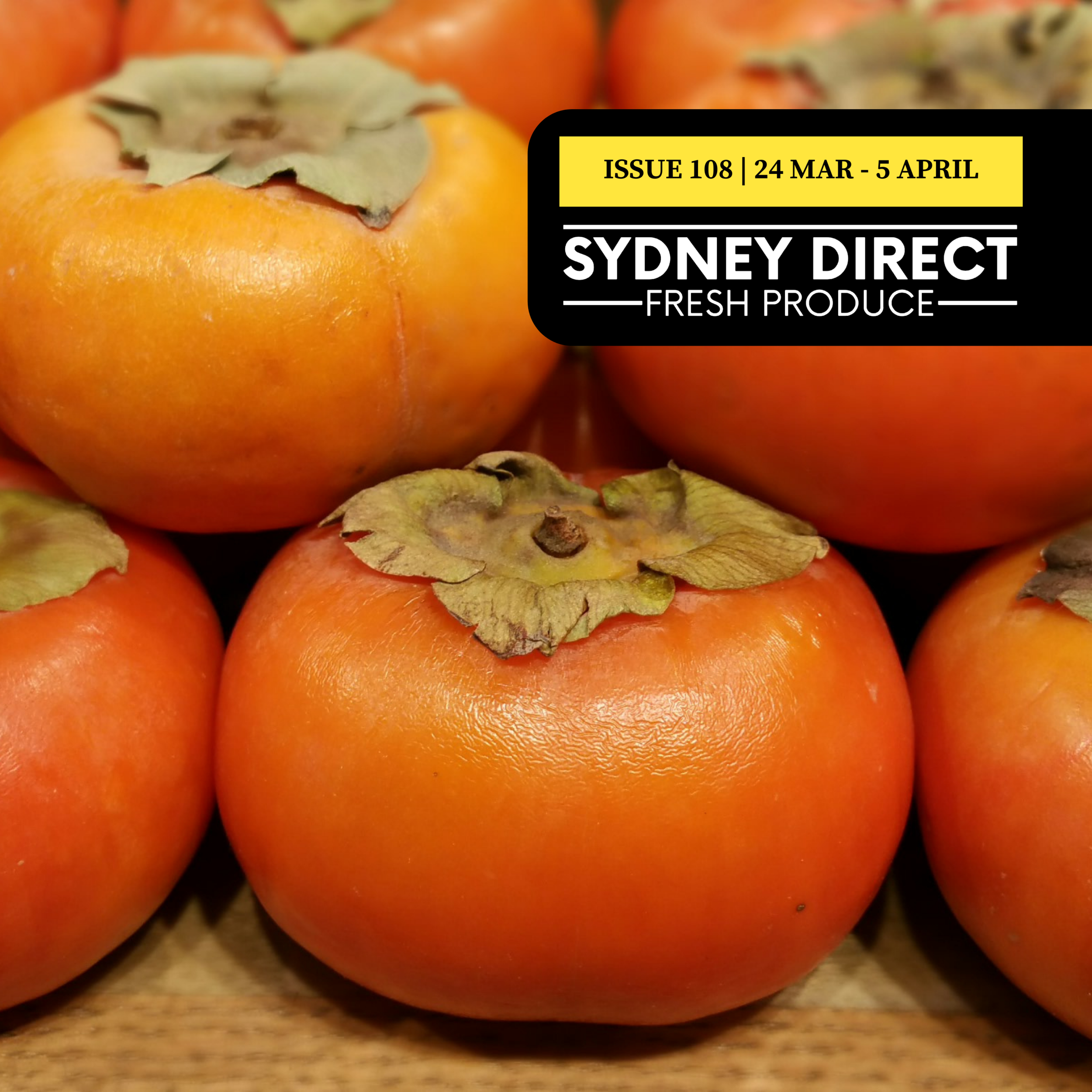 ISSUE 108 "FRESH IS BEST"  