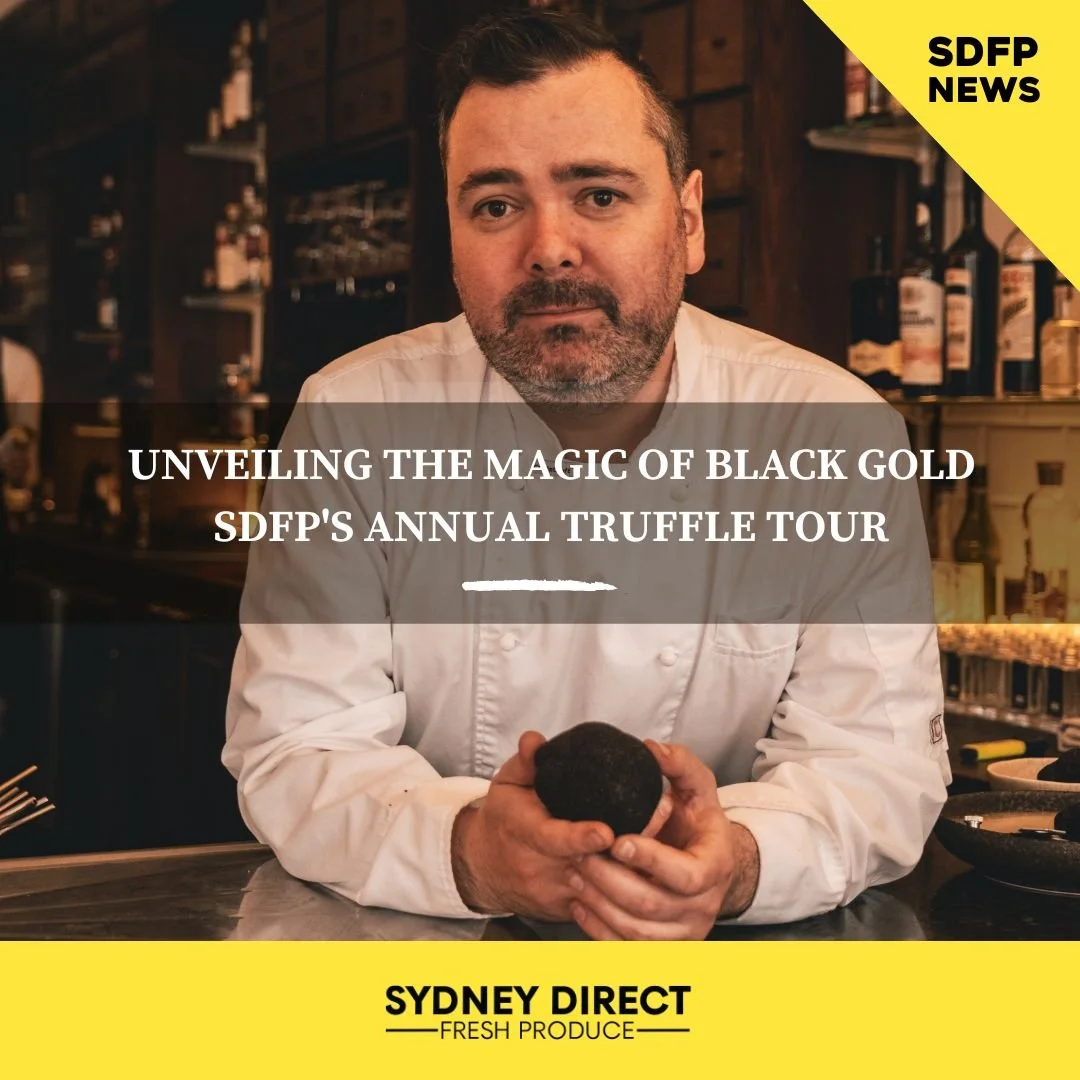UNVEILING THE MAGIC OF BLACK GOLD | SDFP'S ANNUAL TRUFFLE TOUR