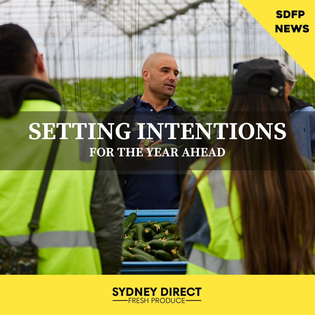 FRESH BEGINNINGS - SETTING INTENTIONS FOR 2024